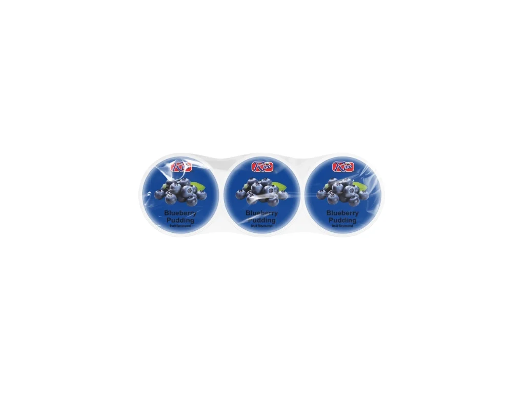 Pudim de mirtilo Rico com nata de coco 3x65g MYS 1