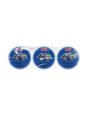 Pudim de mirtilo Rico com nata de coco 3x65g MYS
