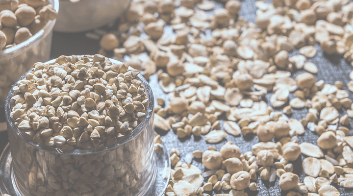 Cómo los Ingredientes Galactogénicos en Nuestras Galletas Pueden Ayudarte en la Lactancia