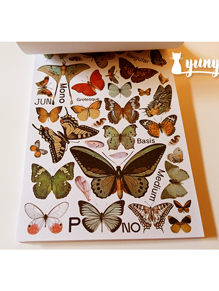 Sticker Book - Schubert & Rose 4