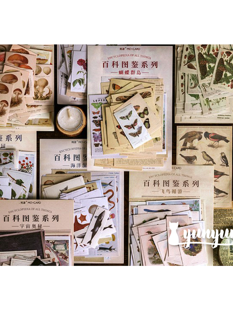 Stickers Enciclopedia - 60 pzas 1