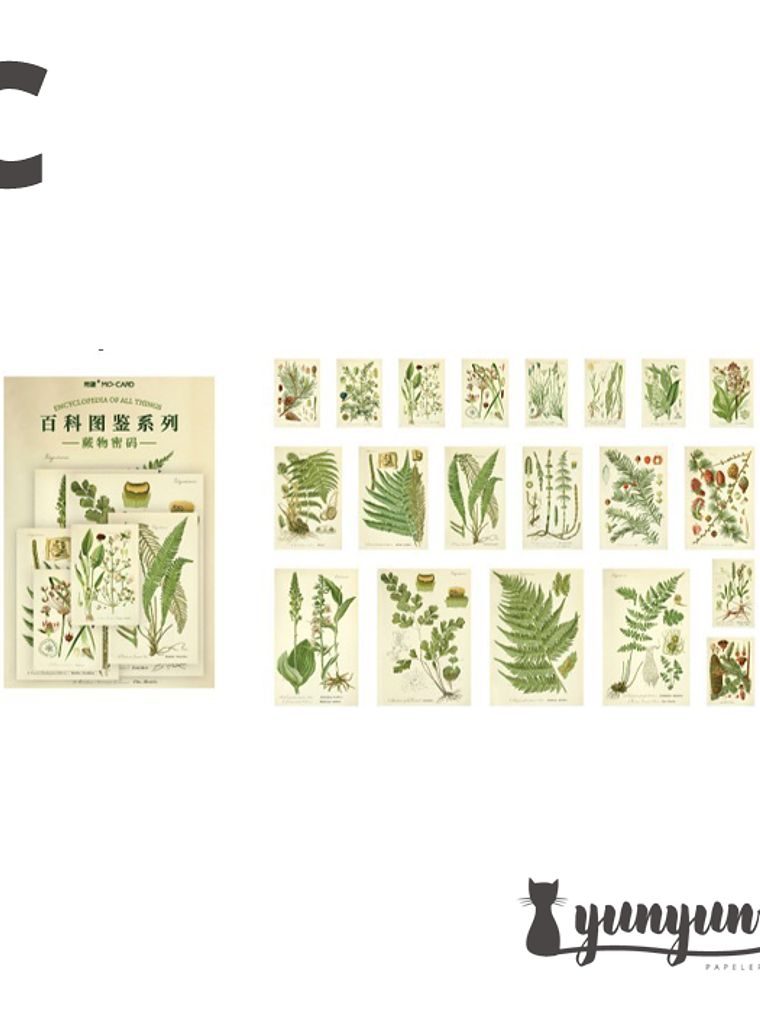 Stickers Enciclopedia - 60 pzas 4