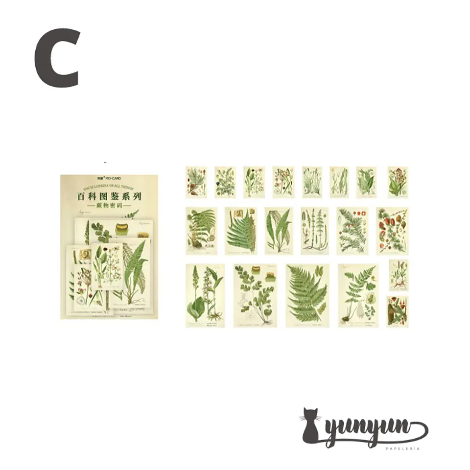 Stickers Enciclopedia - 60 pzas 4