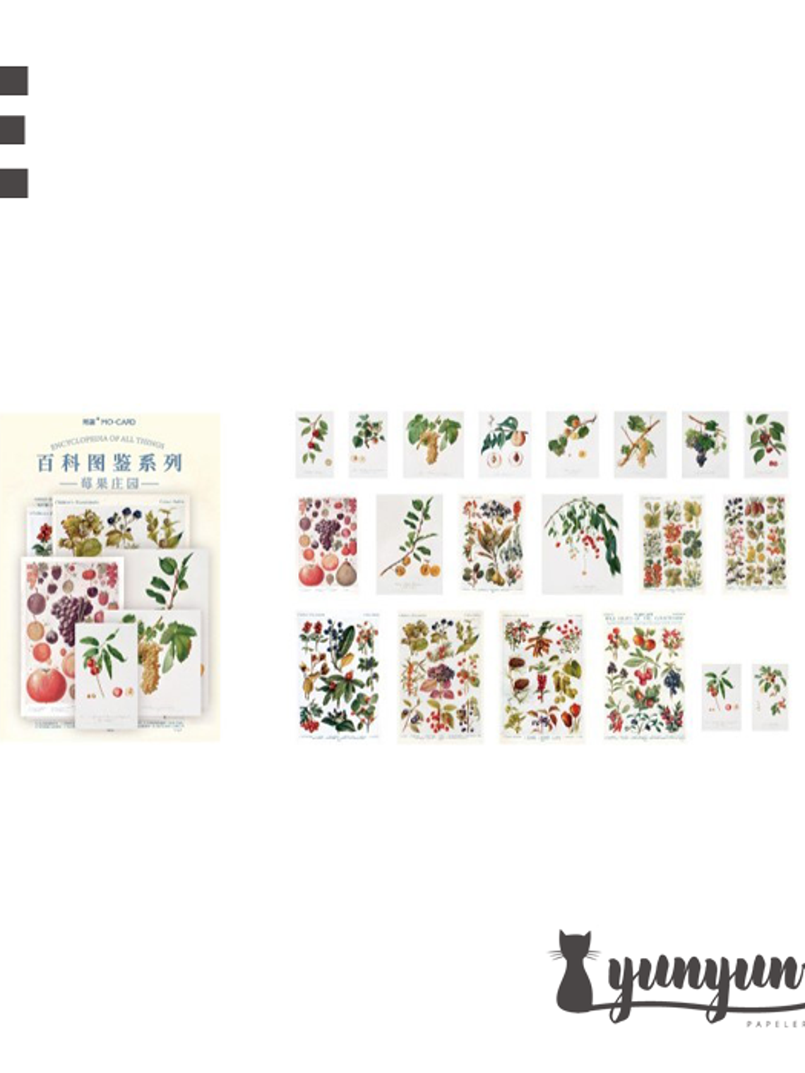 Stickers Enciclopedia - 60 pzas 5