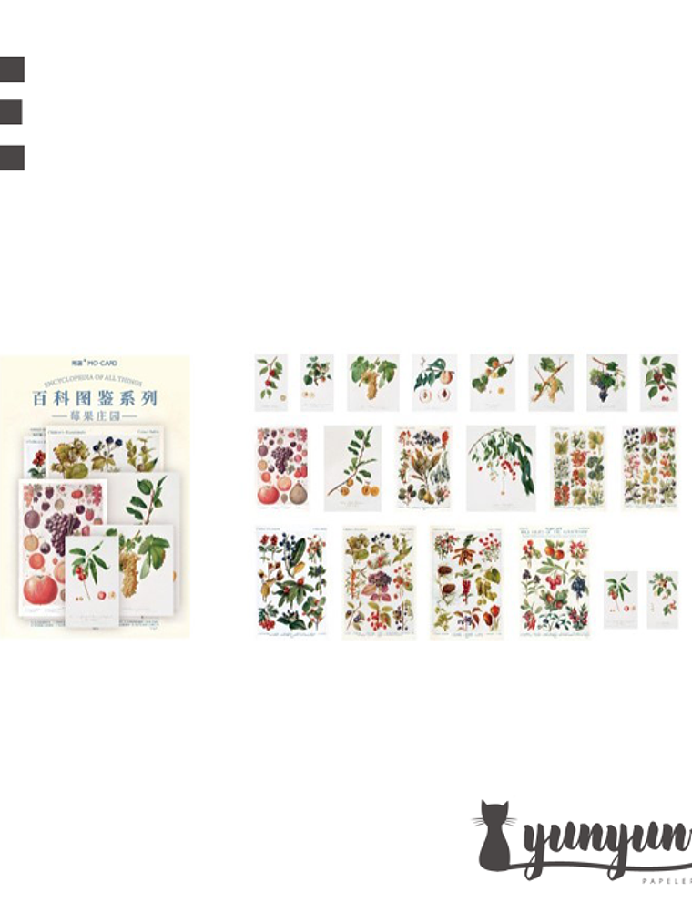 Stickers Enciclopedia - 60 pzas 5