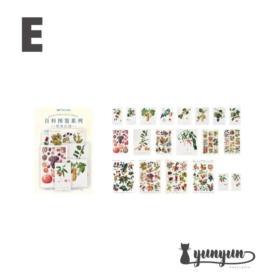 Stickers Enciclopedia - 60 pzas 5
