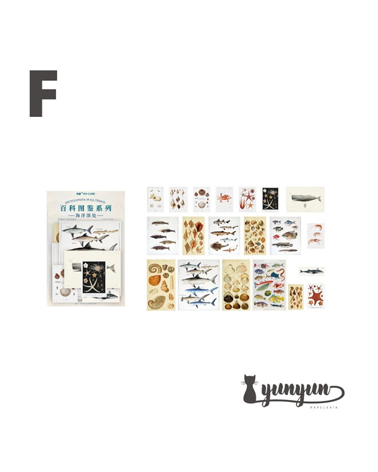 Stickers Enciclopedia - 60 pzas