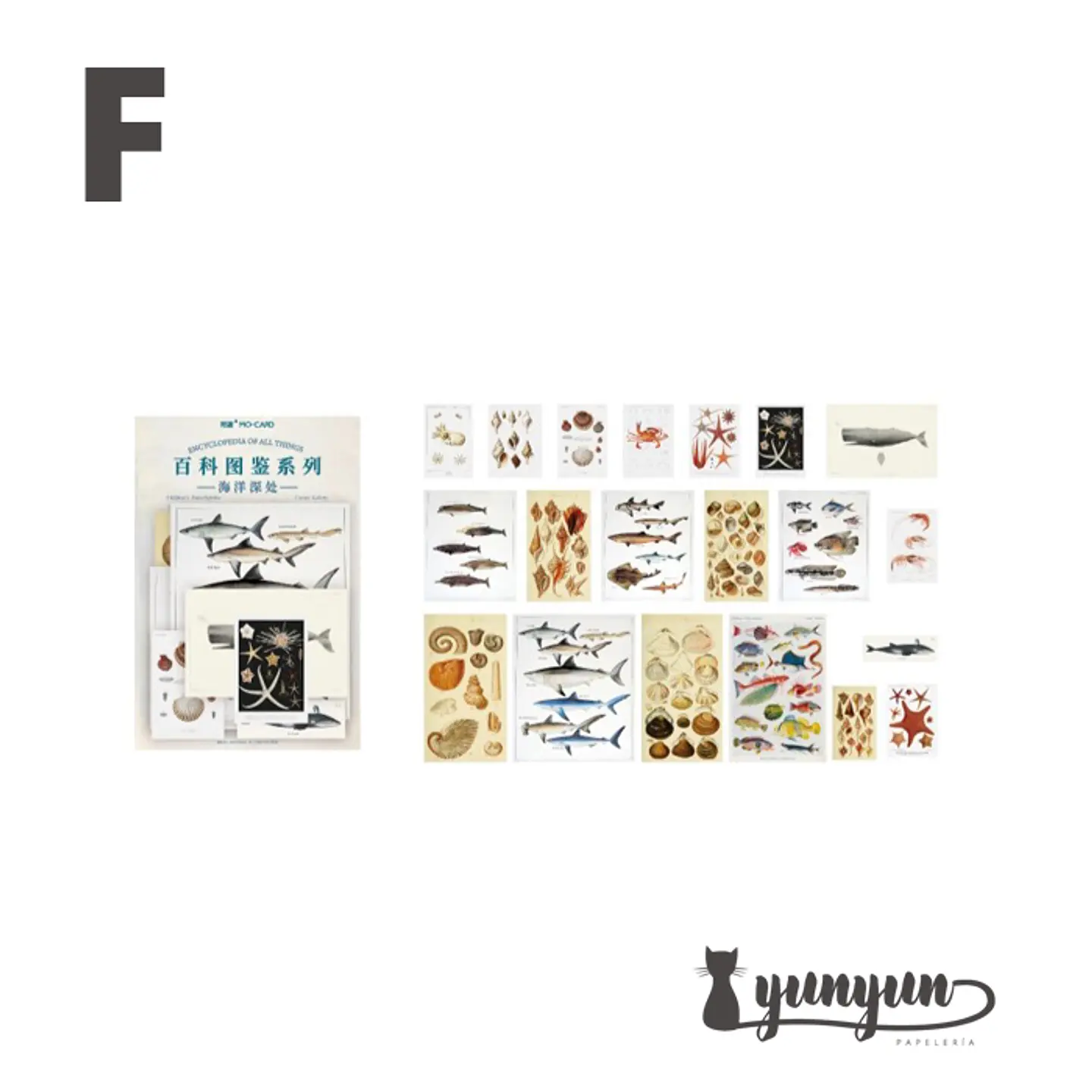 Stickers Enciclopedia - 60 pzas 6