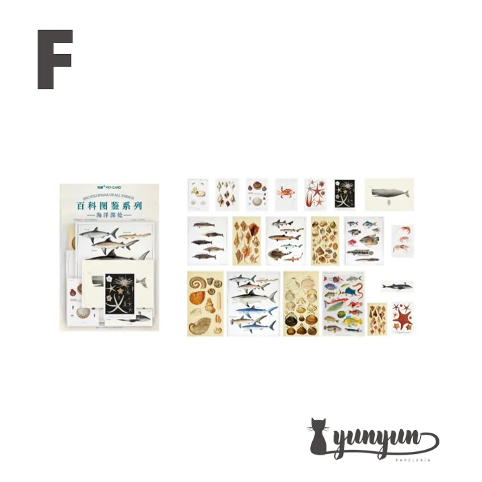 Stickers Enciclopedia - 60 pzas 6