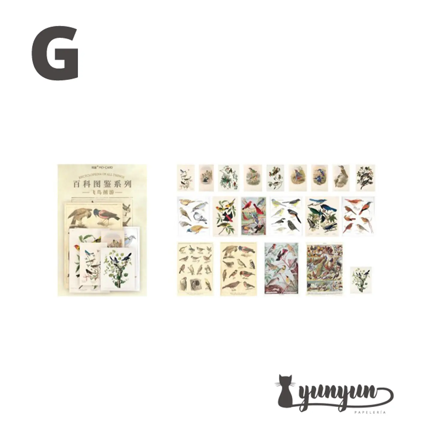 Stickers Enciclopedia - 60 pzas 7
