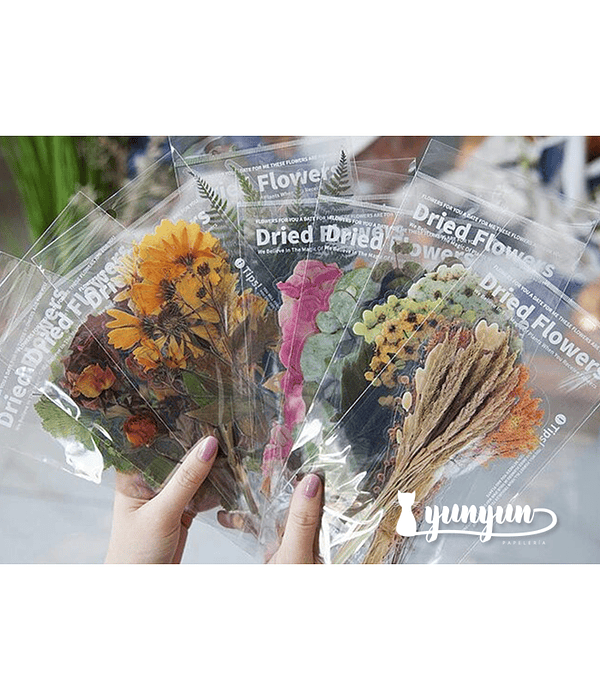 Dried Flowers XL - 6 pzas
