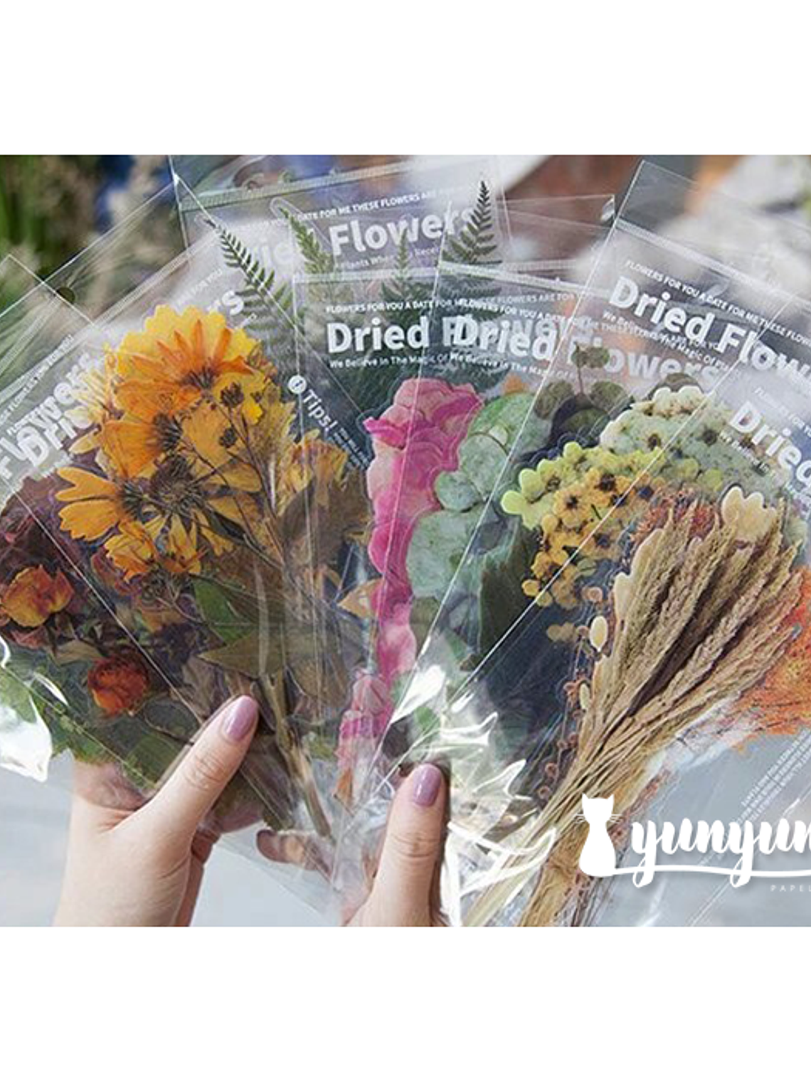 Dried Flowers XL - 6 pzas 1