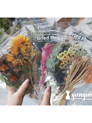 Dried Flowers XL - 6 pzas