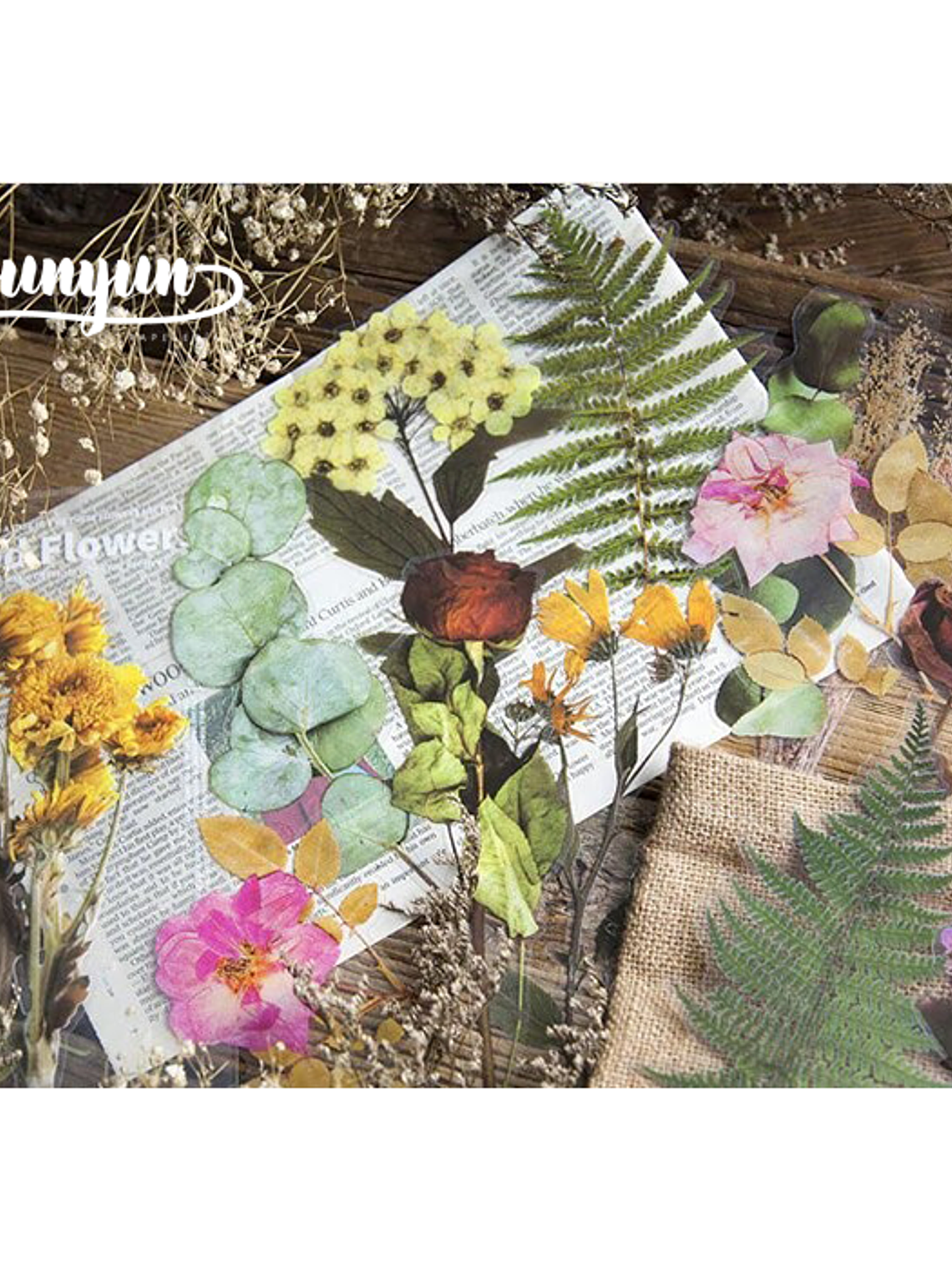 Dried Flowers XL - 6 pzas 2