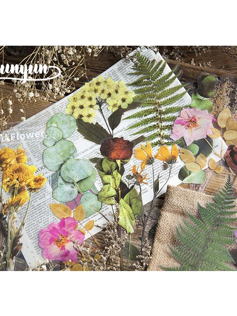 Dried Flowers XL - 6 pzas 2