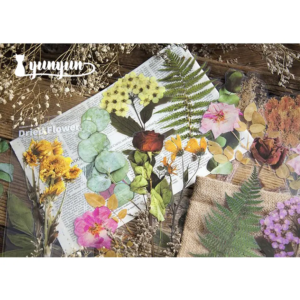 Dried Flowers XL - 6 pzas 2