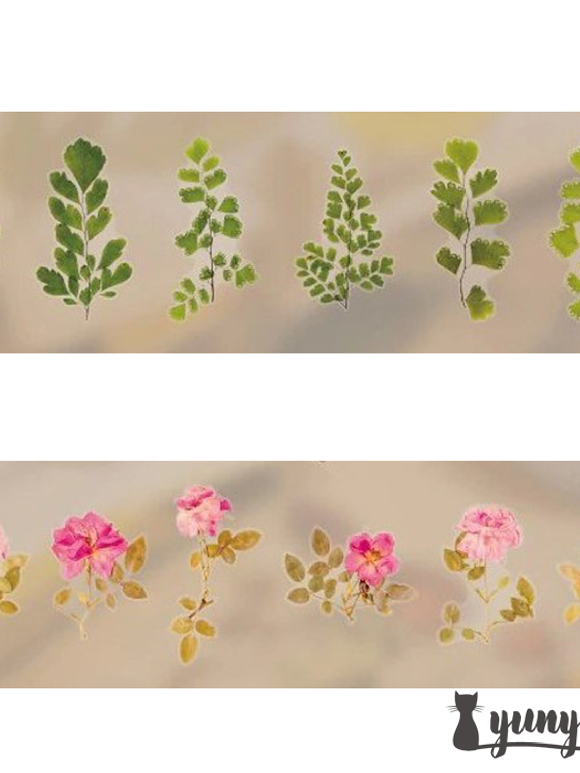 Dried Flowers XL - 6 pzas 5