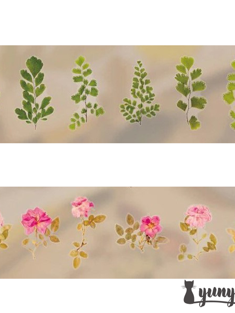 Dried Flowers XL - 6 pzas 5