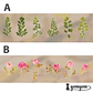 Dried Flowers XL - 6 pzas - Miniatura 5