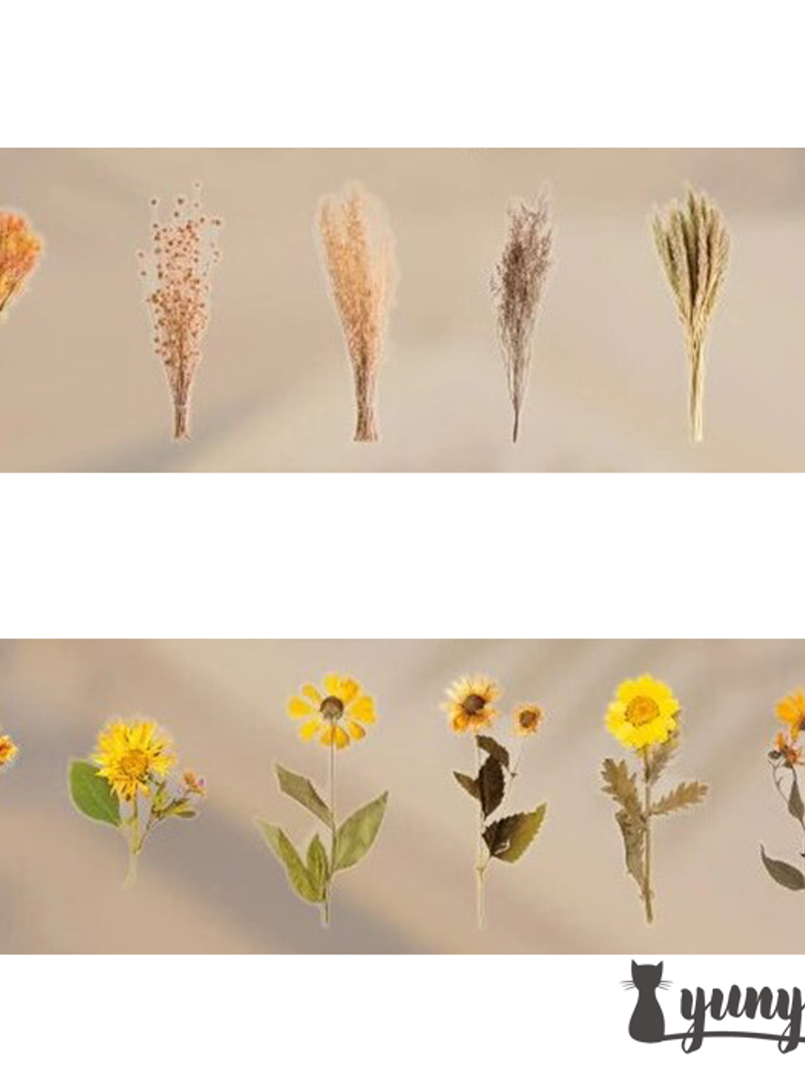 Dried Flowers XL - 6 pzas 6