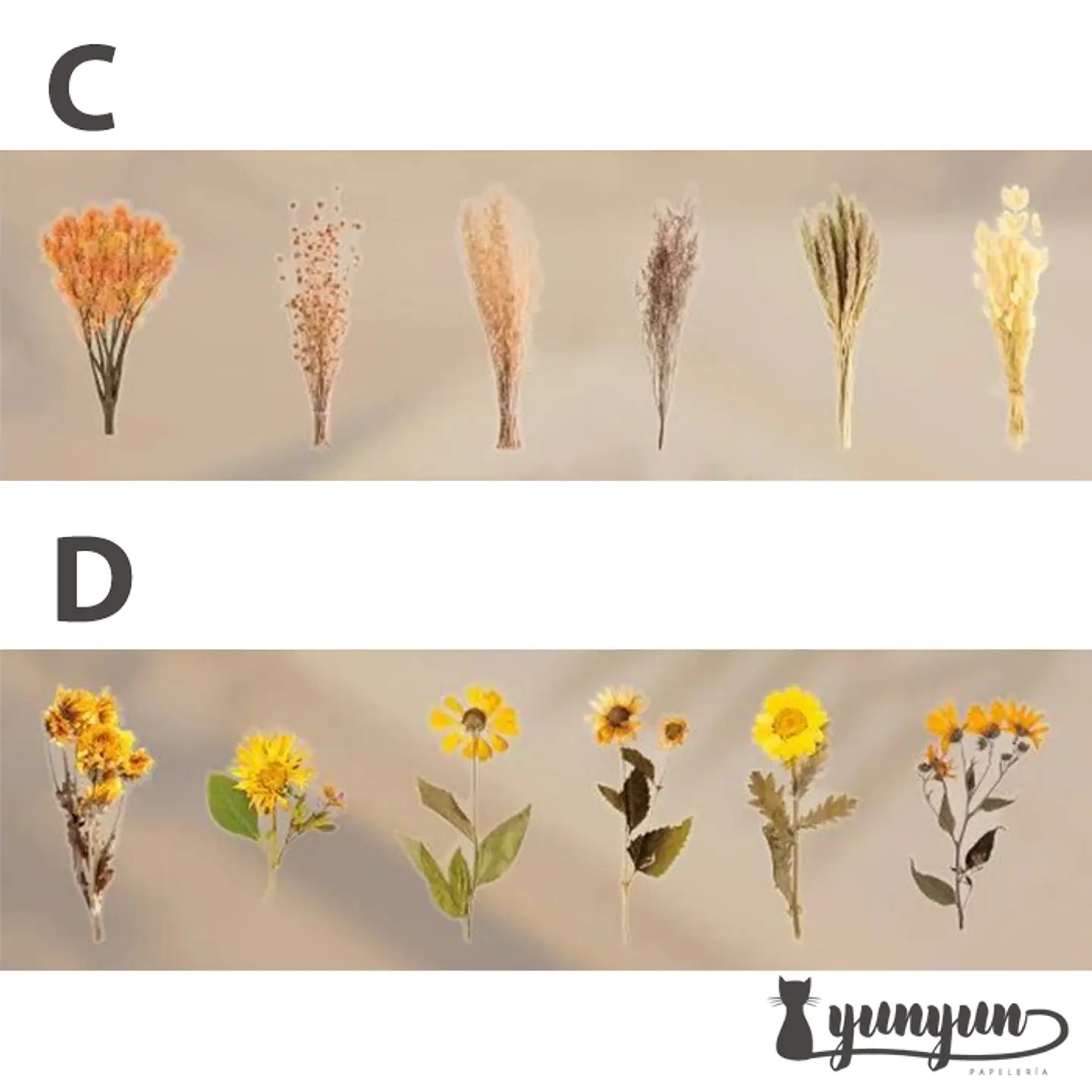 Dried Flowers XL - 6 pzas 6