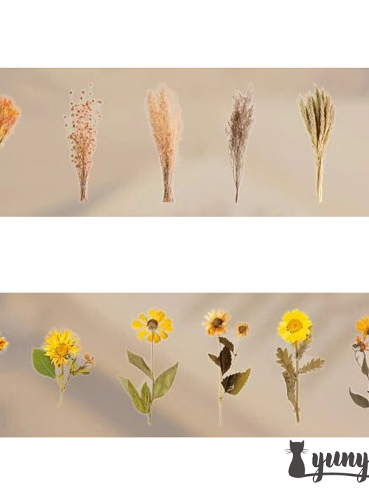 Dried Flowers XL - 6 pzas 6