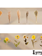 Dried Flowers XL - 6 pzas - Miniatura 6