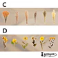 Dried Flowers XL - 6 pzas - Miniatura 6