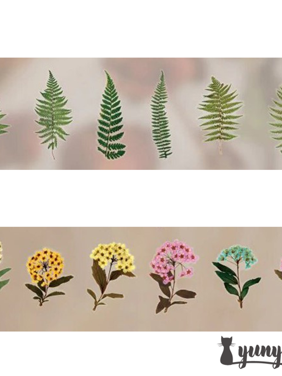 Dried Flowers XL - 6 pzas 7