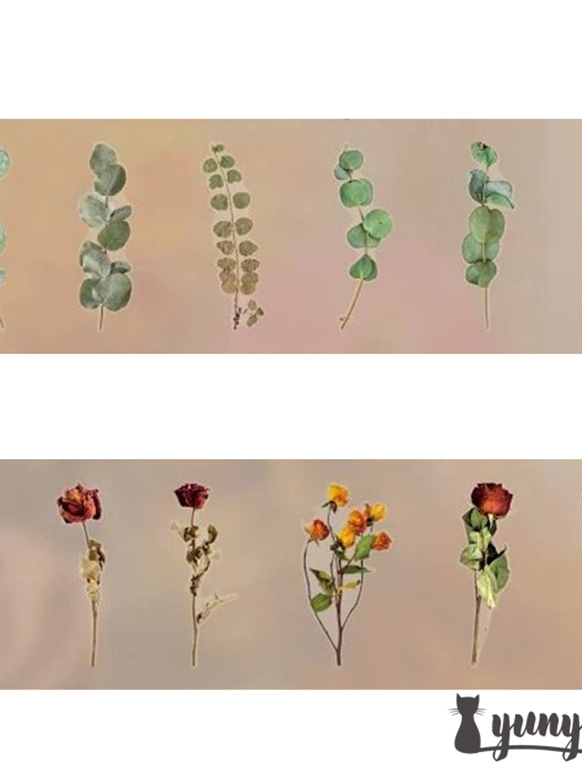 Dried Flowers XL - 6 pzas 8