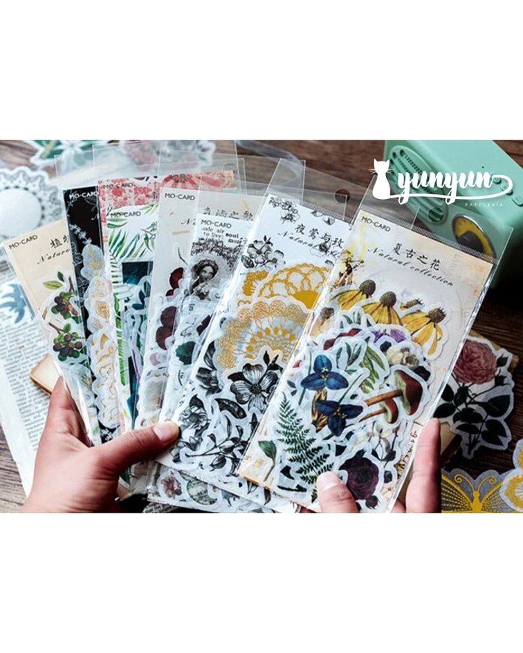 Stickers Natural Collection - 60 uni