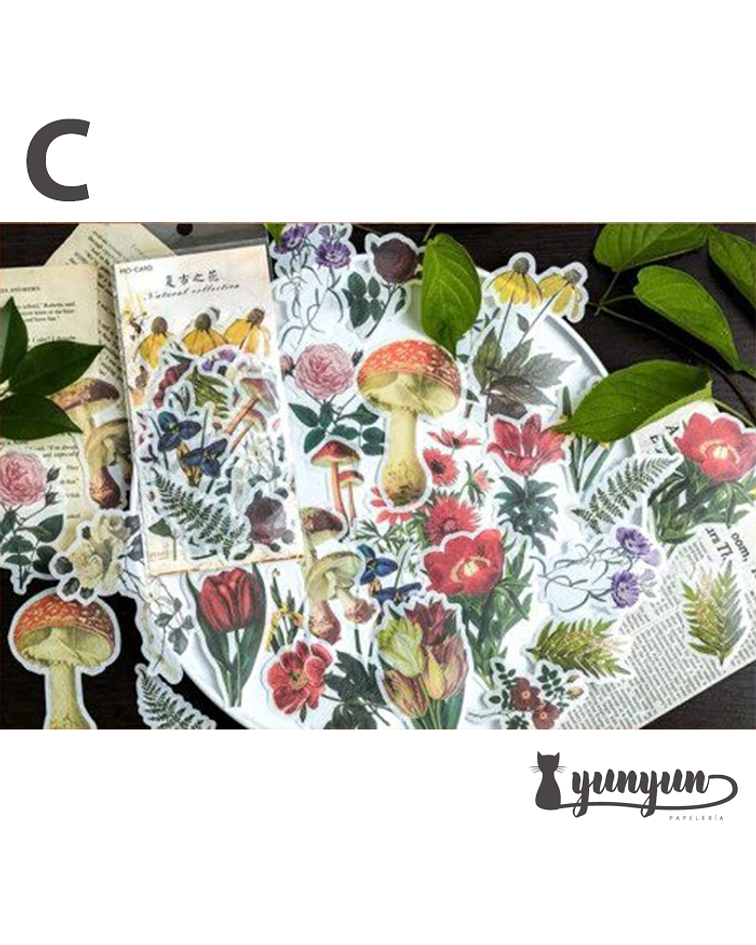 Stickers Natural Collection - 60 uni