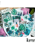 Stickers Natural Collection - 60 uni
