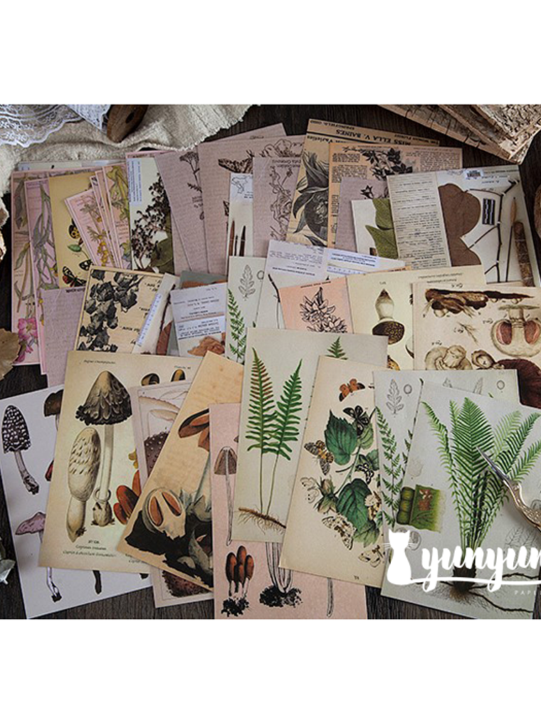 Stickers Páginas Botánicas - 10 pzas 1