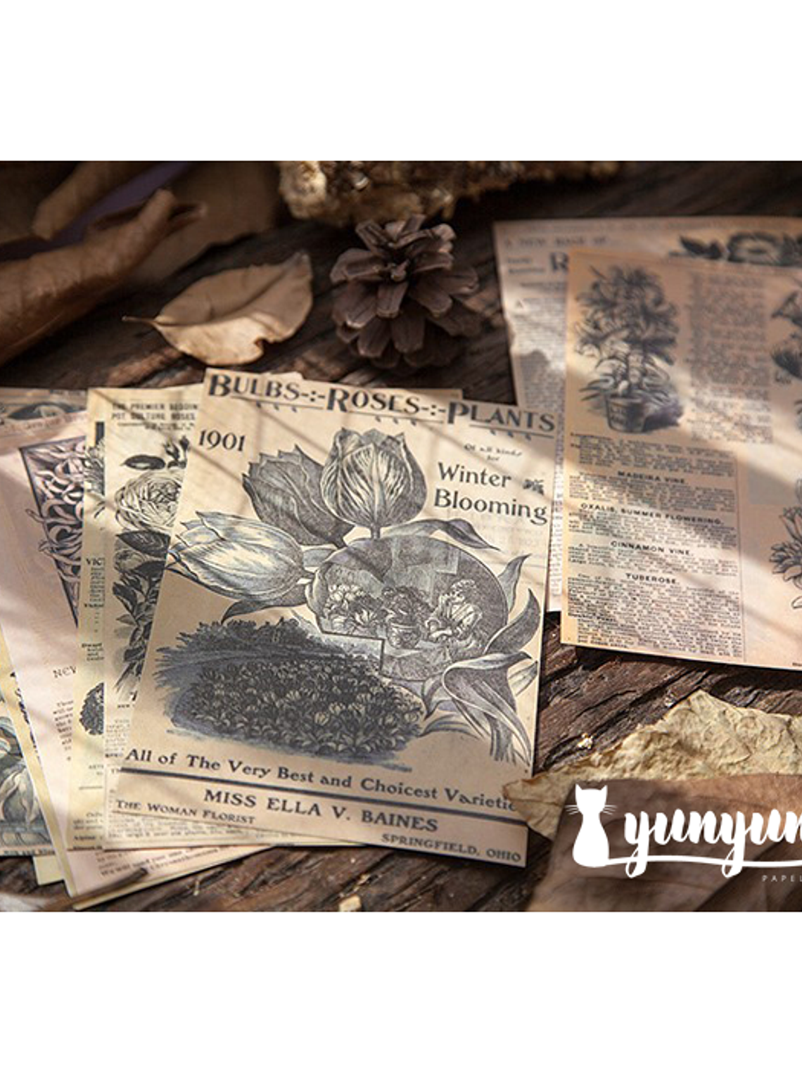 Stickers Páginas Botánicas - 10 pzas 2