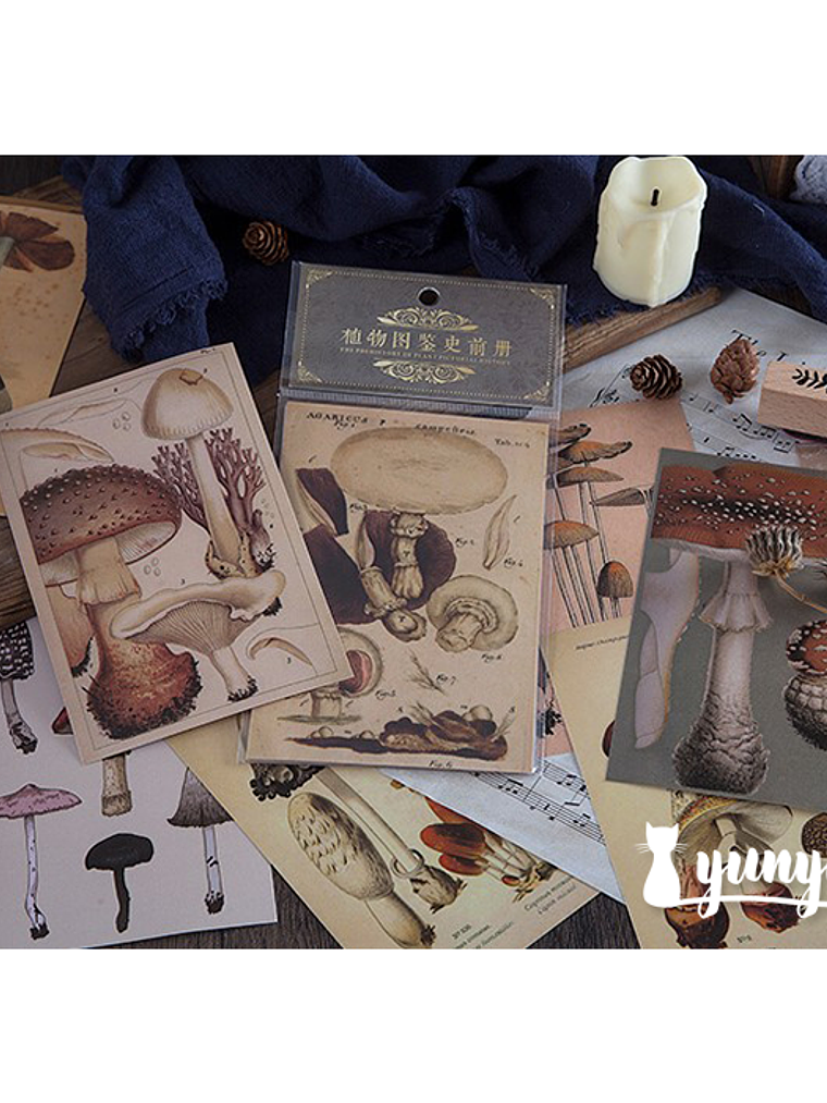 Stickers Páginas Botánicas - 10 pzas 3