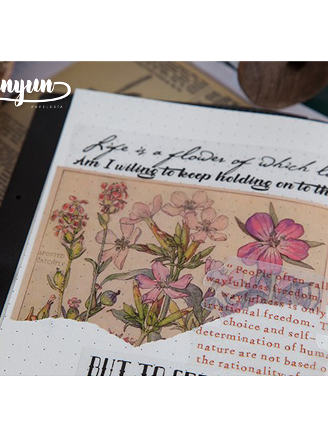 Stickers Páginas Botánicas - 10 pzas 4