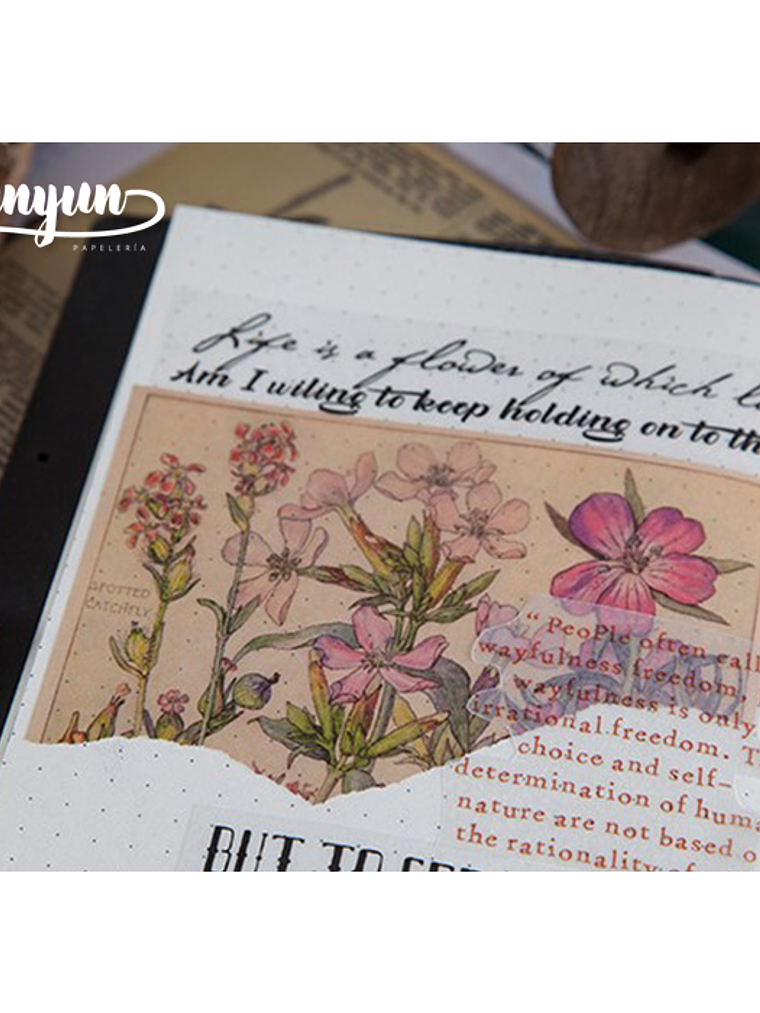 Stickers Páginas Botánicas - 10 pzas 4