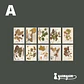 Stickers Páginas Botánicas - 10 pzas - Miniatura 5