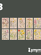 Stickers Páginas Botánicas - 10 pzas - Miniatura 6