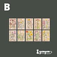 Stickers Páginas Botánicas - 10 pzas - Miniatura 6