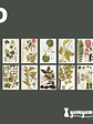 Stickers Páginas Botánicas - 10 pzas - Miniatura 8