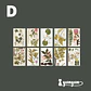 Stickers Páginas Botánicas - 10 pzas - Miniatura 8