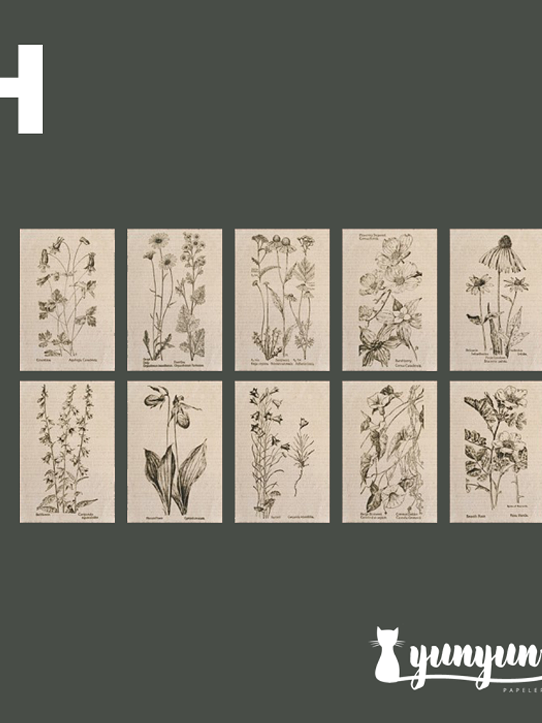 Stickers Páginas Botánicas - 10 pzas 10