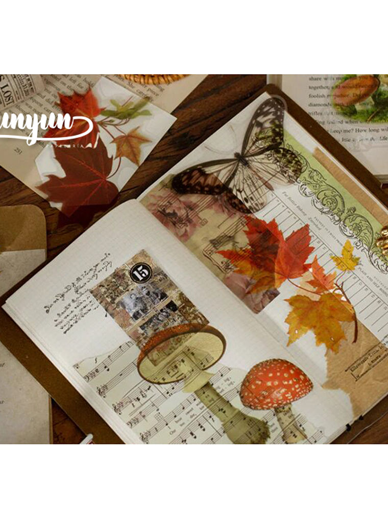 Stickers Botánica XL - 11 pzas 3