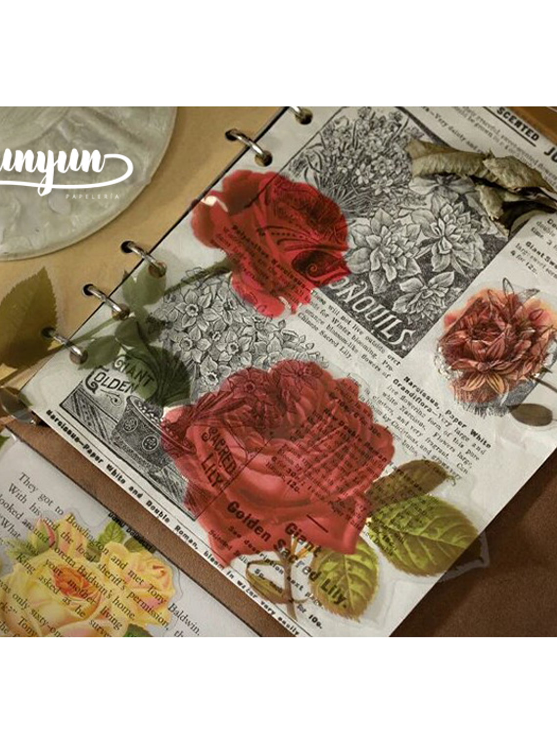 Stickers Botánica XL - 11 pzas 4