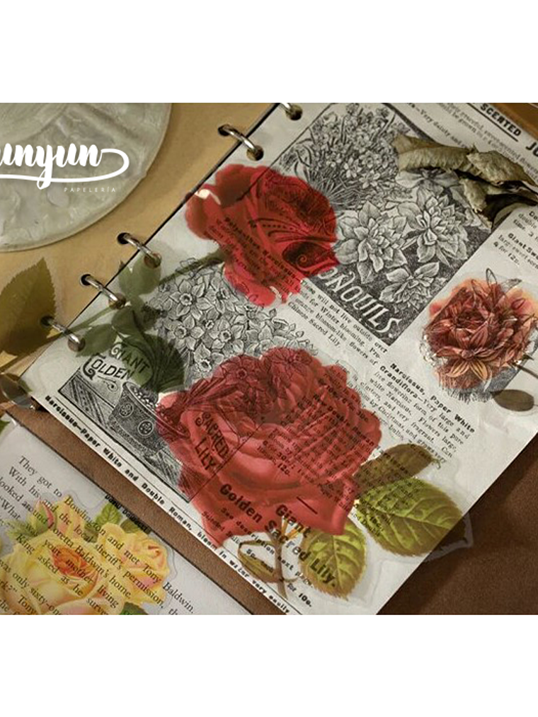 Stickers Botánica XL - 11 pzas 4