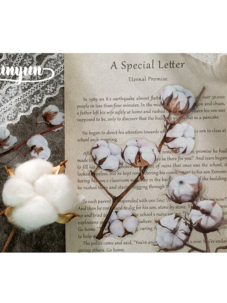 Stickers Botánica XL - 11 pzas 5