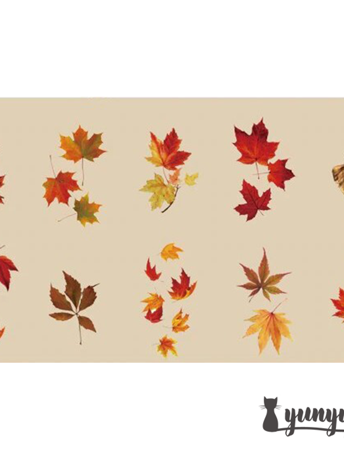 Stickers Botánica XL - 11 pzas 8