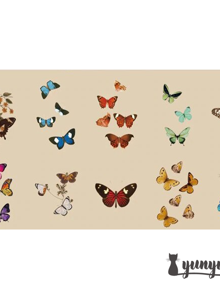 Stickers Botánica XL - 11 pzas 9